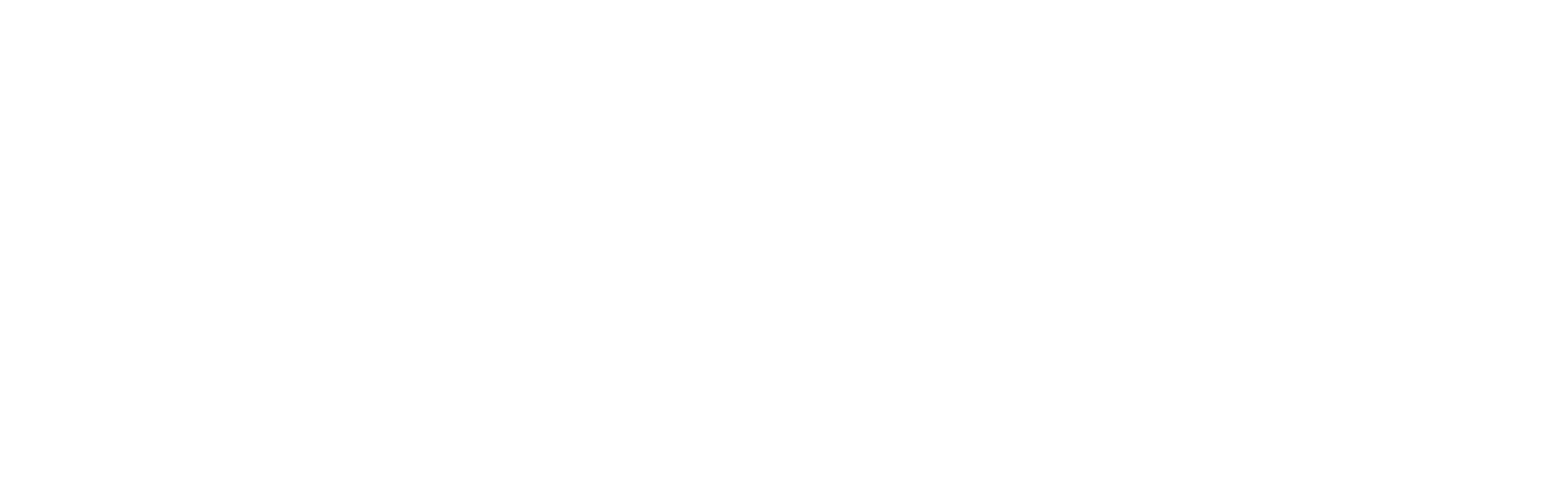 Synoptic Medical Assessments